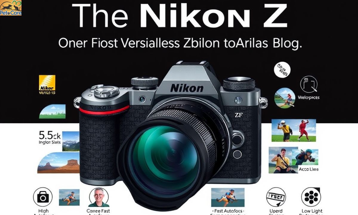 The Nikon ZF: One of the Most Versatile Cameras on the Market Today