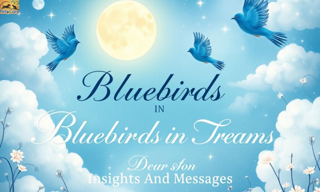 Bluebirds In Dreams Insights And Messages