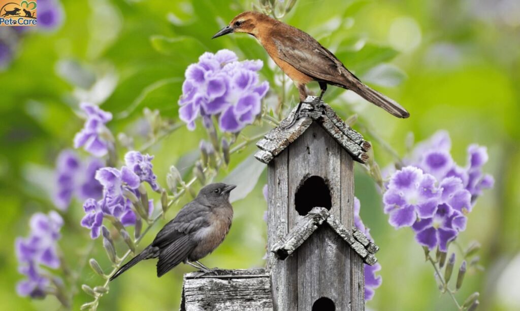 Birds as Symbols of Good Fortune